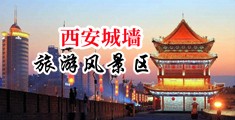 艹性感熟女中国陕西-西安城墙旅游风景区