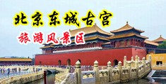 吃奶艹中国北京-东城古宫旅游风景区